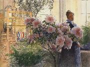 Carl Larsson Azalea china oil painting artist